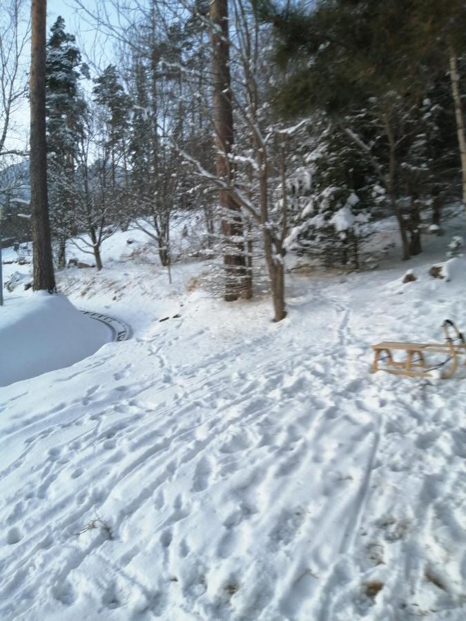 Apartman Lastovicka Stara Lesna Exterior photo